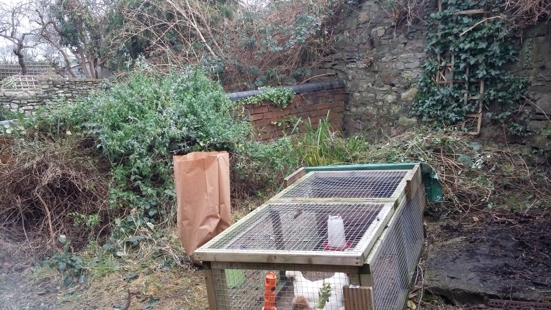 2017-01-14 12.25.43.jpg