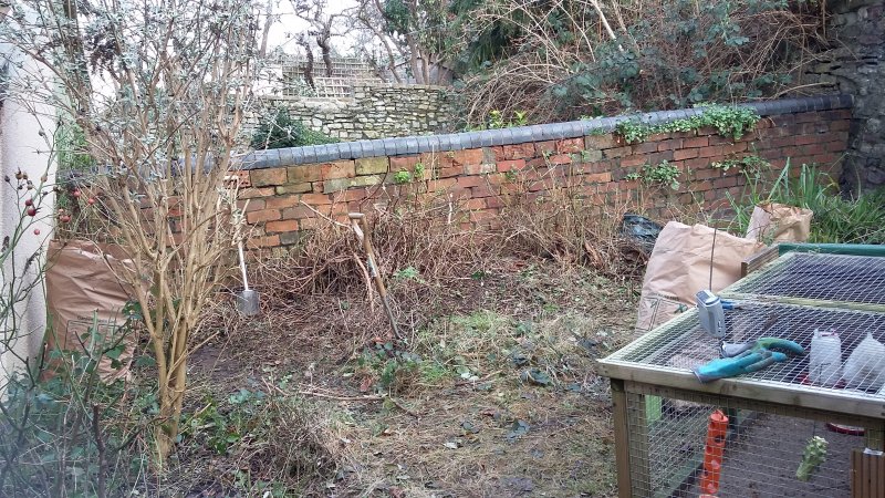 2017-01-14 13.48.09.jpg