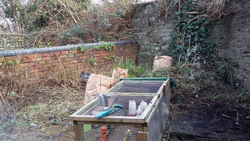 2017-01-14 13.48.12.jpg