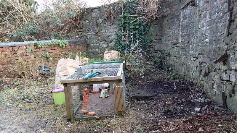 2017-01-14 13.48.29.jpg