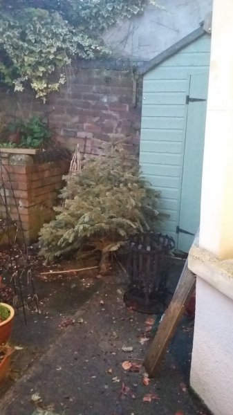 2017-01-14 16.38.47.jpg