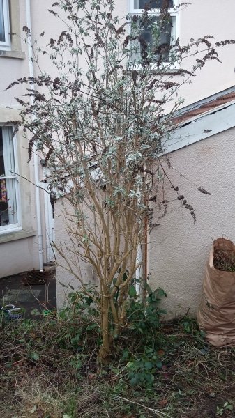 2017-01-15 13.14.51.jpg