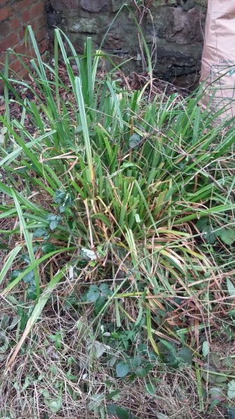 2017-01-15 13.15.13.jpg