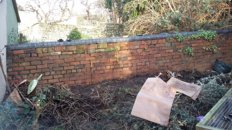 2017-01-24 15.00.33.jpg