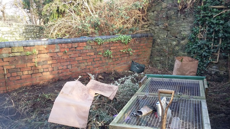 2017-01-24 15.00.36.jpg