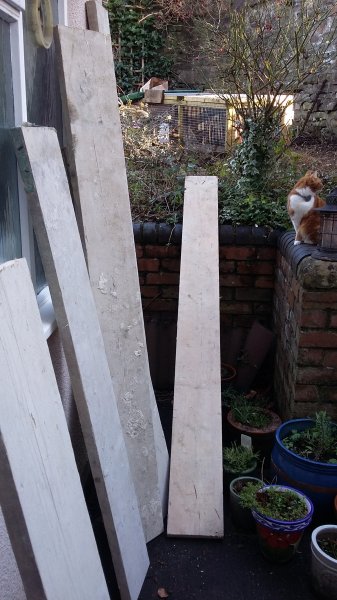 2017-01-28 15.03.46.jpg