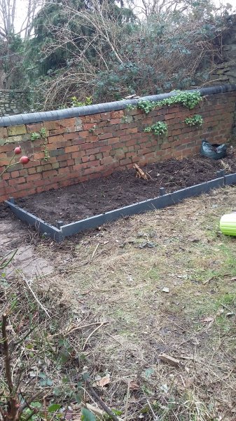 2017-02-19 14.15.42.jpg