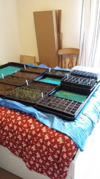 2017-02-28 14.59.45.jpg