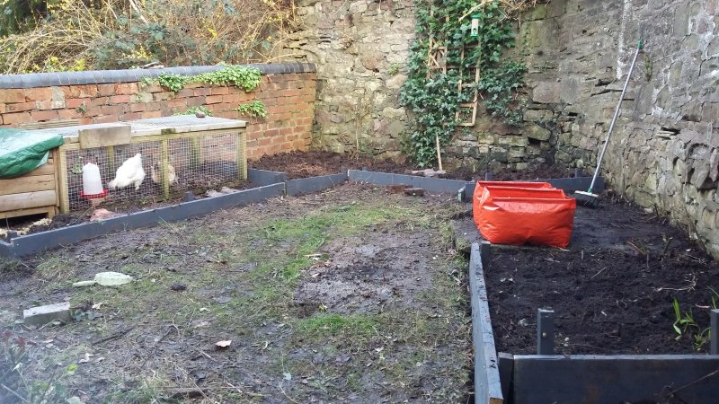 2017-03-09 17.13.22.jpg