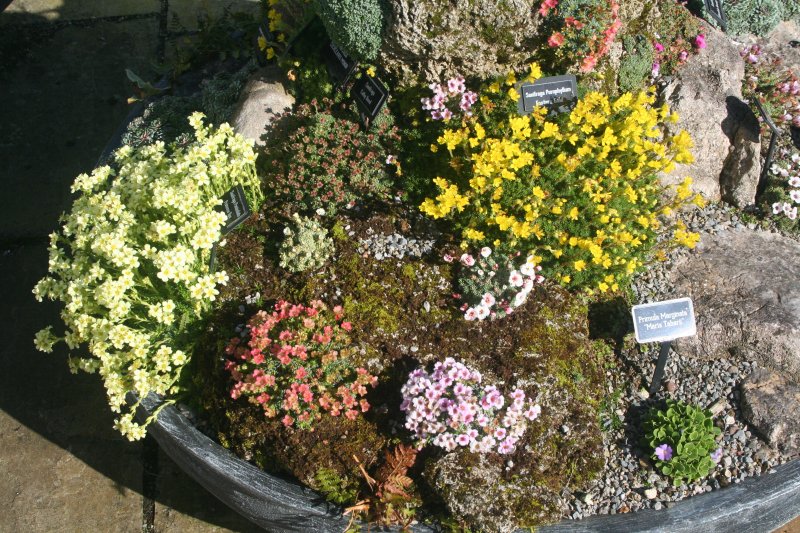 2017-03-15 17.33.53.jpg