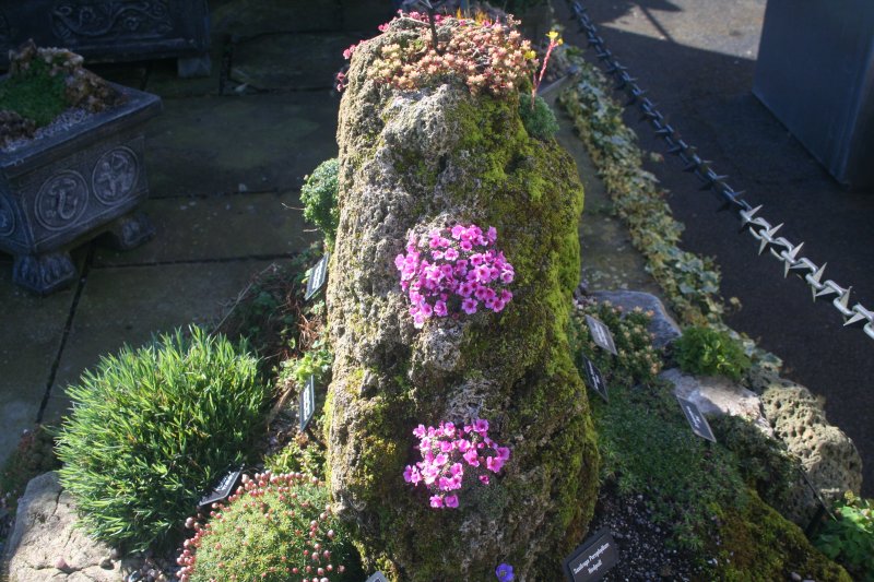 2017-03-15 17.34.24.jpg