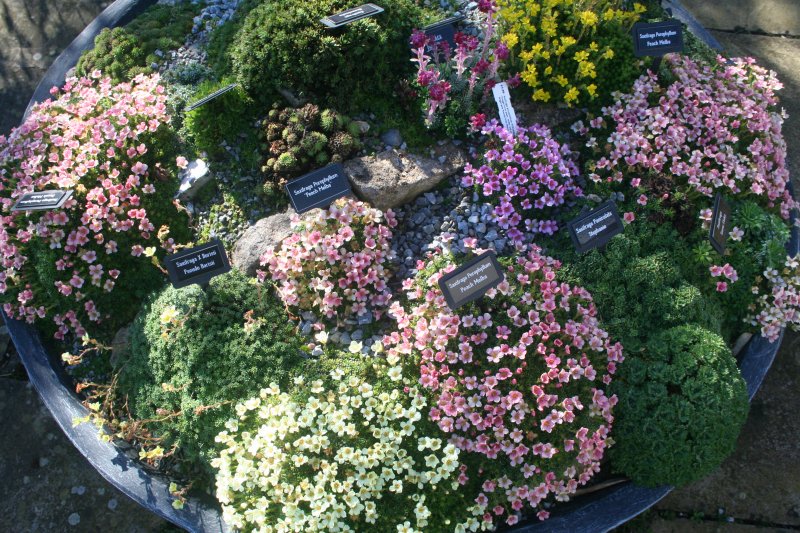 2017-03-15 17.34.49.jpg