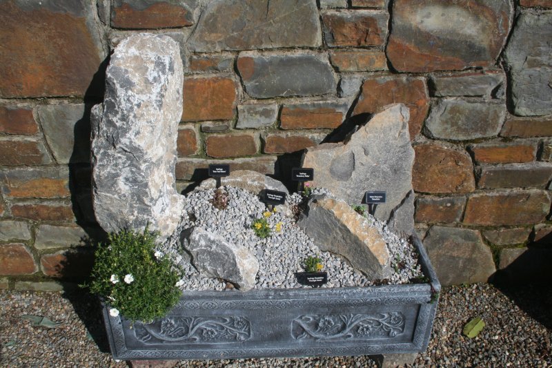 2017-03-15 17.36.33.jpg