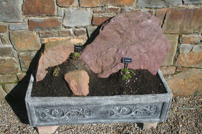 2017-03-15 17.36.49.jpg