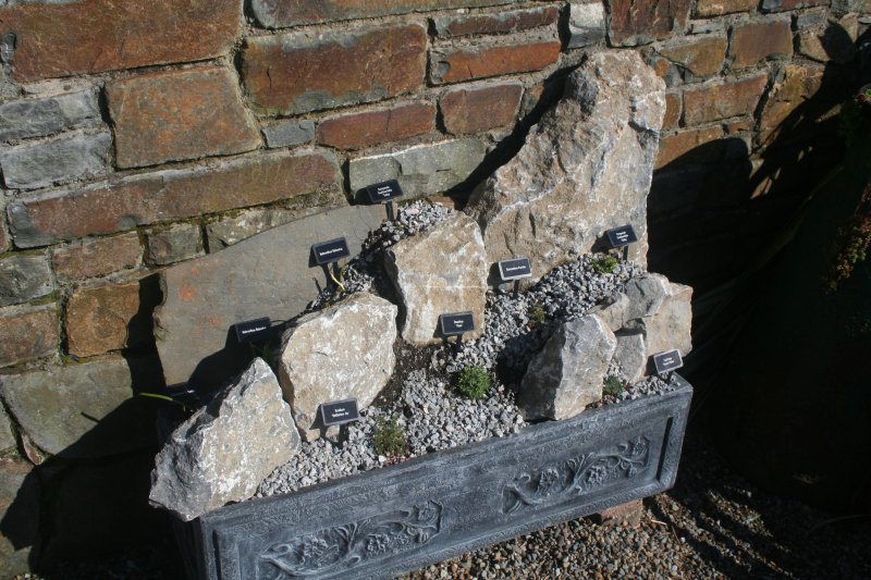 2017-03-15 17.37.09.jpg