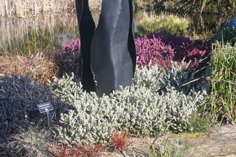 2017-03-15 17.39.35.jpg