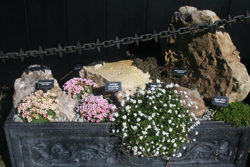 2017-03-15 17.41.17.jpg