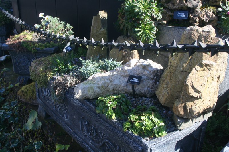 2017-03-15 17.41.56.jpg