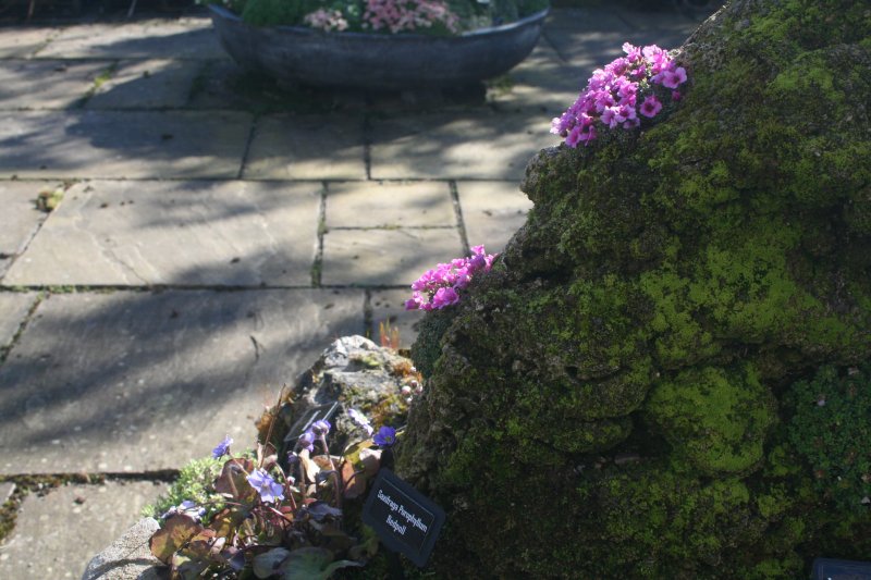 2017-03-15 17.42.49.jpg