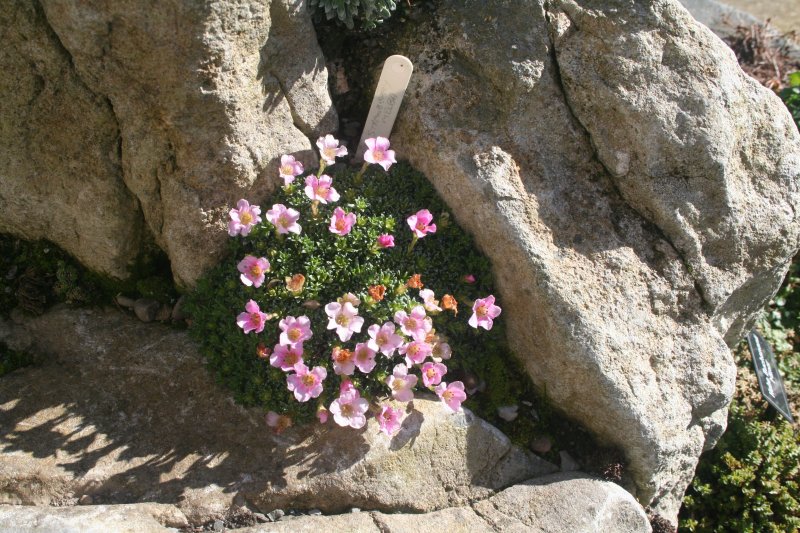 2017-03-15 17.43.08.jpg