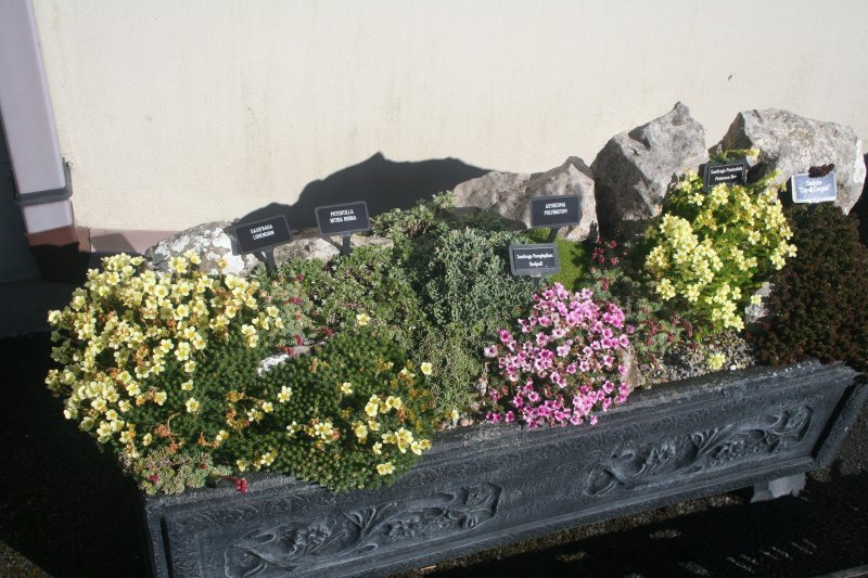 2017-03-15 17.43.50.jpg