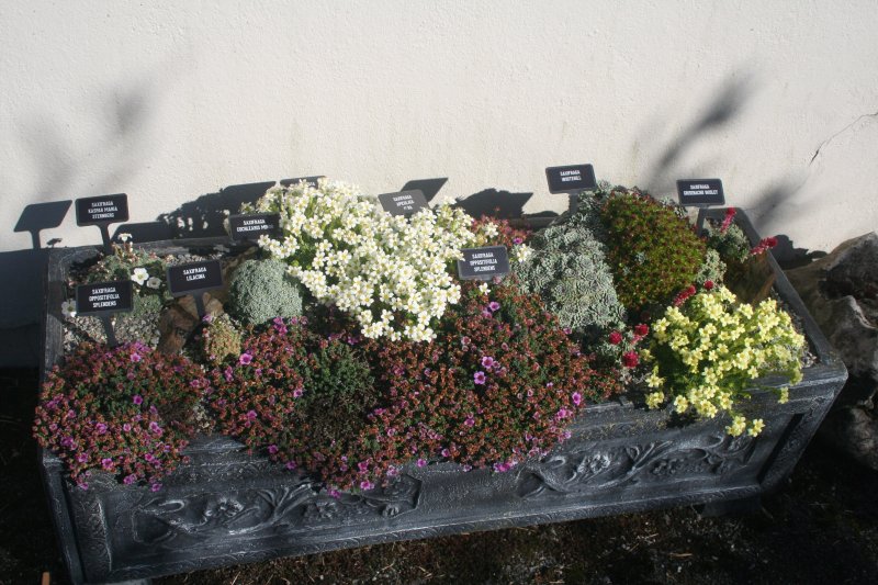 2017-03-15 17.44.48.jpg