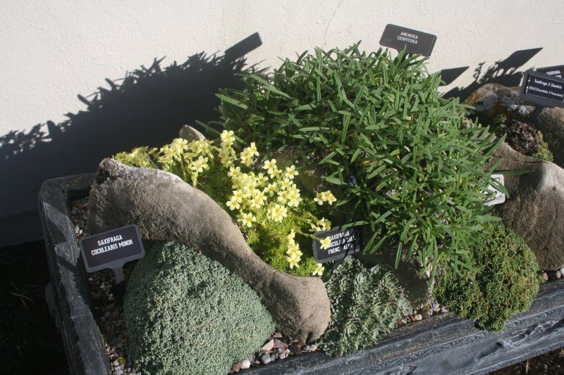 2017-03-15 17.45.05.jpg