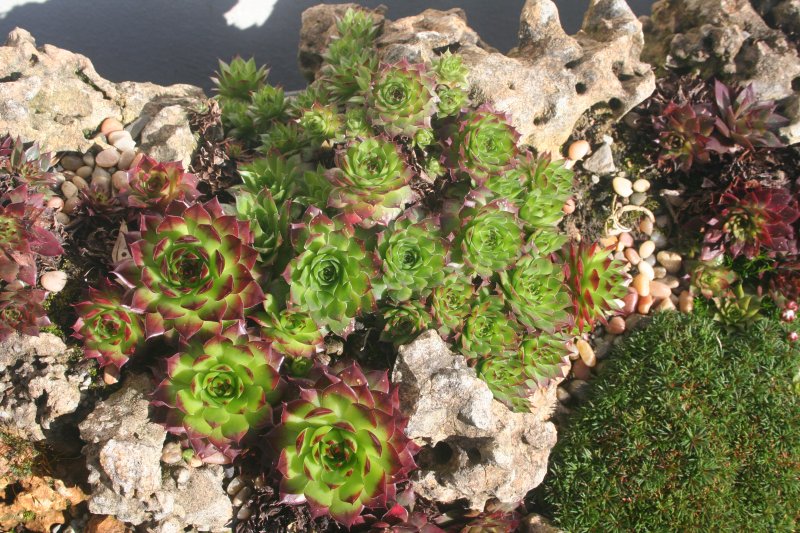 2017-03-15 17.45.29.jpg