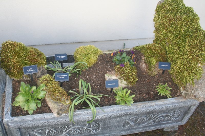 2017-03-15 17.45.54.jpg