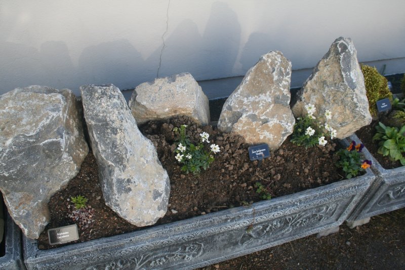 2017-03-15 17.46.10.jpg