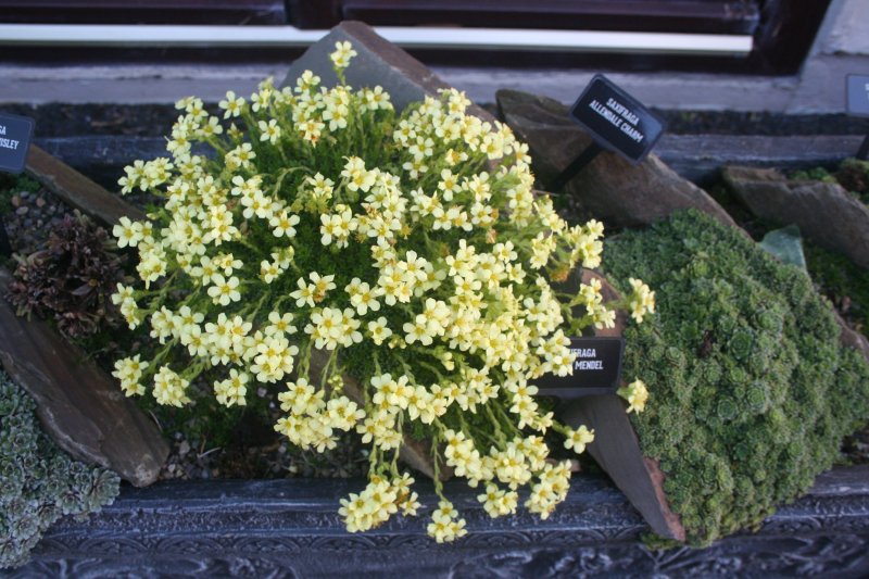 2017-03-15 17.46.49.jpg