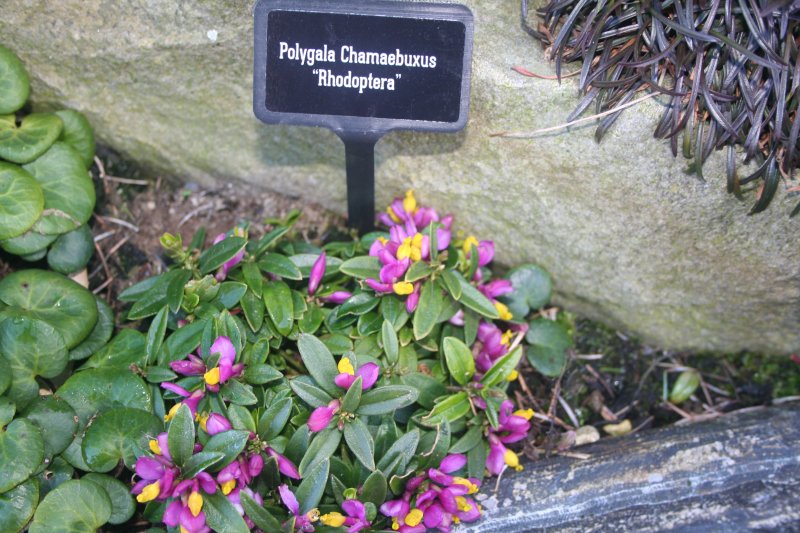 2017-03-15 17.48.14.jpg