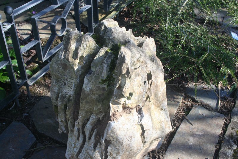 2017-03-15 17.53.54.jpg