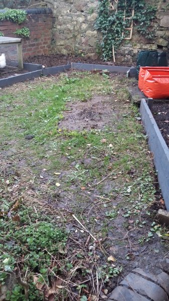 2017-03-22 17.52.17.jpg