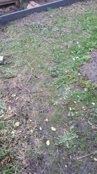 2017-03-22 17.52.24.jpg