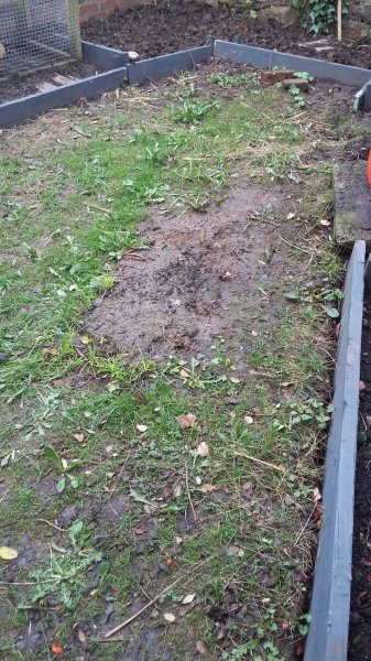 2017-03-22 17.52.31.jpg