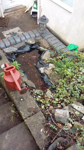 2017-03-23 12.25.45.jpg