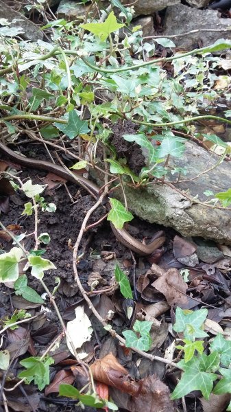 2017-03-23 12.43.21.jpg