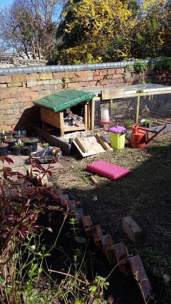 2017-03-26 13.21.36.jpg