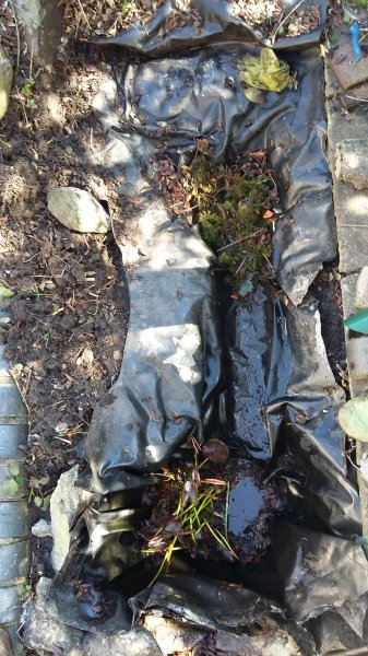 2017-03-26 15.13.42.jpg