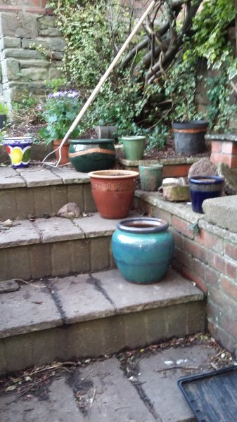 2017-03-26 19.00.49.jpg