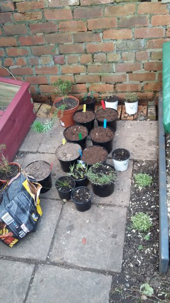 2017-03-26 19.01.19.jpg