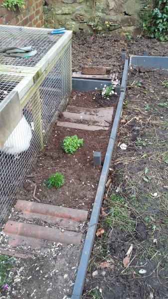 2017-03-26 19.01.25.jpg