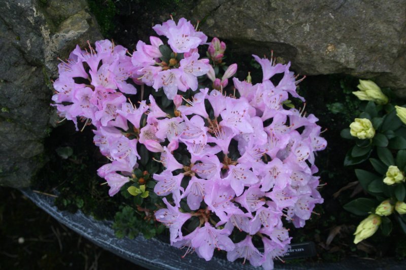 2017-03-28 18.17.23.jpg