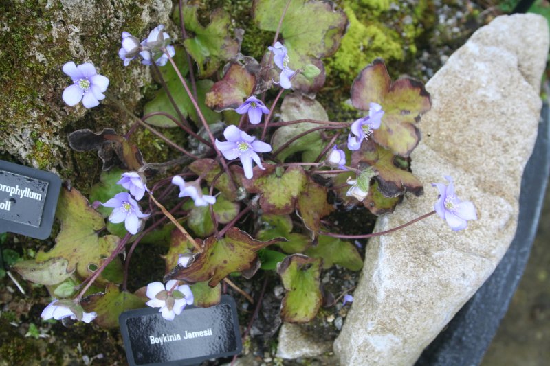 2017-03-28 18.20.12.jpg