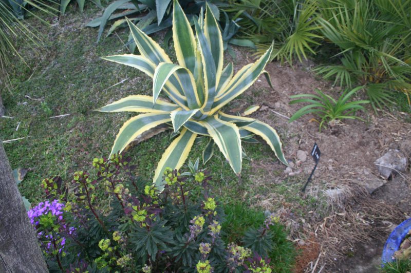 2017-03-28 18.25.42.jpg