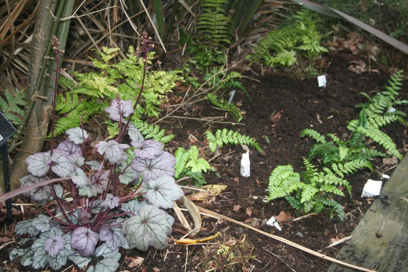 2017-03-28 18.27.12.jpg