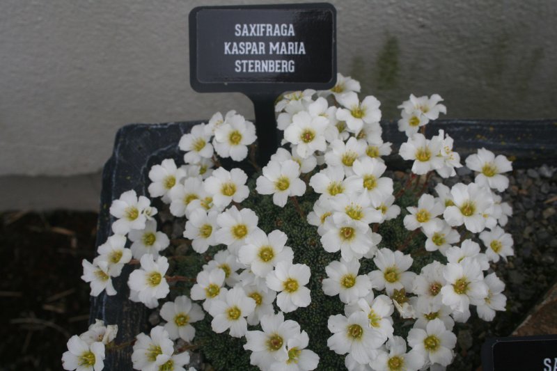 2017-03-28 18.38.32.jpg