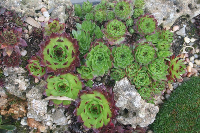 2017-03-28 18.39.52.jpg