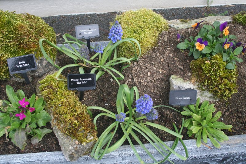 2017-03-28 18.40.26.jpg